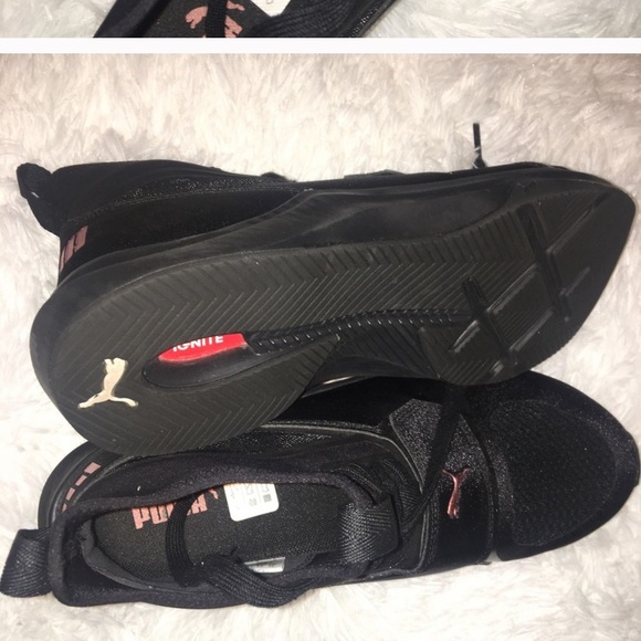 Pumas - Picture 4 of 4